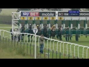 Video preview image for Beverley 19:30 - Sky Bet Supporting The Yorkshire Racing Summer Festival Handicap