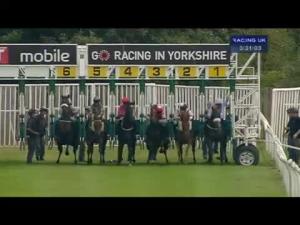 Video preview image for Catterick Bridge 15:30 - Infinity Ecosis Tyres Claiming Stakes