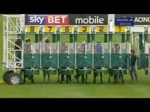 Video preview image for Catterick Bridge 17:00 - yorkshire-outdoors.co.uk Apprentice Training Series Handicap