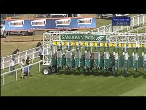 Video preview image for Sandown Park 14:30 - Weatherbys Vat Services Handicap