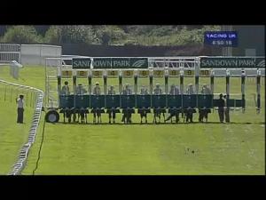 Video preview image for Sandown Park 16:50 - Lubricators Handicap