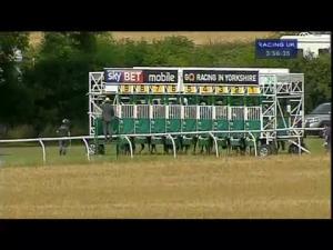 Video preview image for Thirsk 15:55 - Infinity Ecosis Tyres Handicap