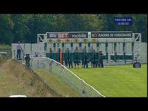 Video preview image for Thirsk 16:30 - Thirsk Ladies' Day Saturday 7th September Nursery