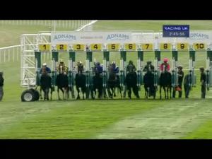 Video preview image for Newmarket 14:45 - Adnams Spindrift Handicap
