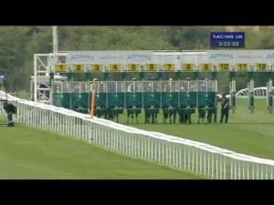 Video preview image for Newmarket 15:20 - Adnams Ghost Ship Fillies' Handicap