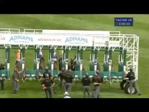 Video preview image for Newmarket 17:05 - Adnams First Rate Gin Handicap