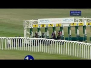 Video preview image for Newmarket 17:40 - Robert Palmer Memorial Handicap