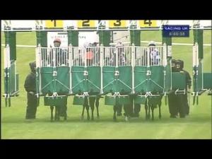 Video preview image for Salisbury 18:40 - Famous Grouse Classified Claiming Stakes