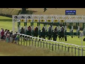 Video preview image for Beverley 16:00 - Wilford Watts Memorial Handicap