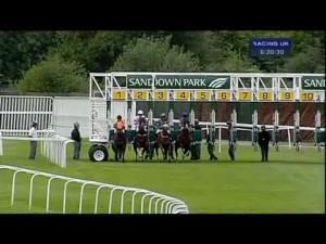 Video preview image for Sandown Park 18:20 - Stubhub Tickets Claiming Stakes