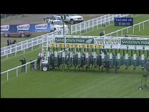 Video preview image for Sandown Park 20:35 - Hersham Handicap