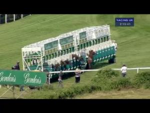 Video preview image for Goodwood 14:15 - Gordon's Handicap