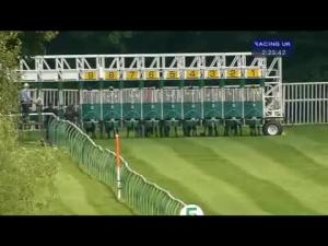 Video preview image for Nottingham 14:25 - British Stallion Studs E.B.F. Maiden Fillies' Stakes