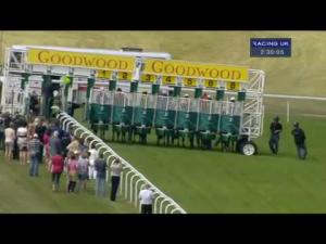 Video preview image for Goodwood 14:30 - Bonhams Thoroughbred Stakes (Group 3)