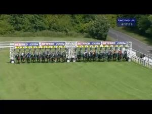 Video preview image for Goodwood 16:15 - Golf At Goodwood Nursery