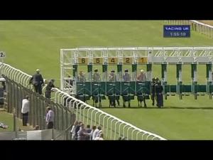 Video preview image for Thirsk 13:55 - Yorkshire Outdoors Adventure Experiences Maiden Selling Stakes