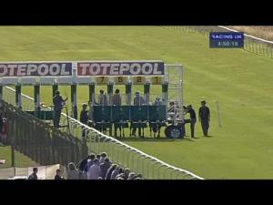 Video preview image for Thirsk 16:50 - Shirley Anne Faill Memorial Fillies' Handicap