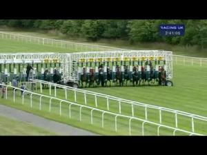 Video preview image for Newbury 14:40 - Academy Insurance E.B.F. Maiden Stakes