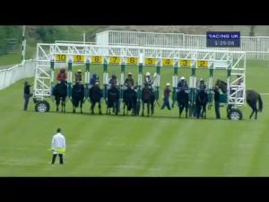 Video preview image for Newbury 17:25 - Interactive Maiden Fillies' Stakes