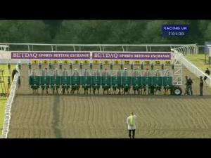 Video preview image for Kempton Park 19:00 - British Stallion Studs E.B.F. Maiden Fillies' Stakes