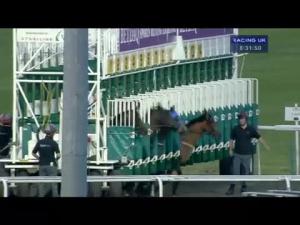 Video preview image for Kempton Park 20:30 - Commission Free 1st Month At Betdaq Handicap (London Mile Series Qualifier)