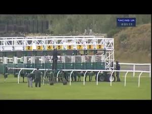 Video preview image for Musselburgh 16:00 - Arthritis Research UK Handicap