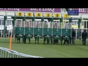 Video preview image for Haydock Park 19:25 - Hunter and Co Accountants E.B.F. Maiden Stakes