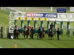 Video preview image for Haydock Park 16:00 - Betfred 'Double Delight' Nursery