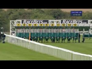 Video preview image for Newmarket 16:10 - Breed German-Buy German-Win German Handicap
