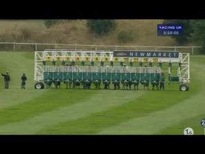 Video preview image for Newmarket 17:55 - Alzheimer's Research UK Handicap (In Memory Of Reg Day)