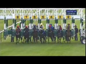 Video preview image for Ayr 18:35 - Unison Supporting St. Vincent's Hospice 25th Year Handicap