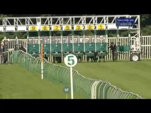 Video preview image for Nottingham 17:00 - Scl Blockfoil Nursery