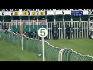 Video preview image for Nottingham 17:35 - E.B.F. Simply Cartons Ltd Novice Stakes