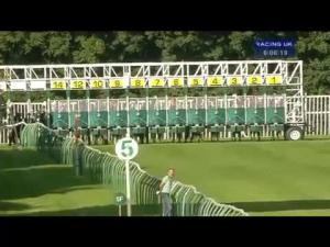 Video preview image for Nottingham 18:05 - Scl Stehlin Hostag Handicap