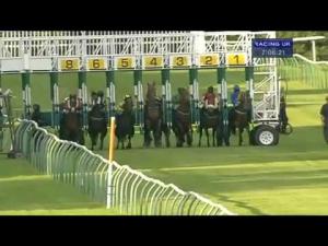 Video preview image for Nottingham 19:05 - Simply Cartons Ltd Conditions Stakes