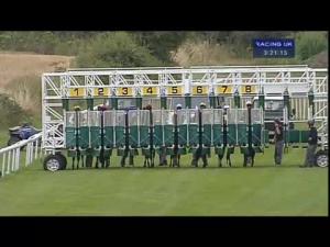 Video preview image for Salisbury 15:20 - Goldring Security Services Pembroke Cup Handicap