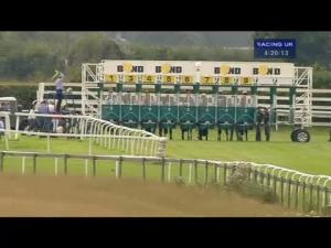 Video preview image for Beverley 16:20 - Wold Construction Brian and Ian Memorial Handicap