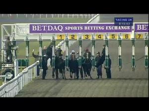 Video preview image for Kempton Park 20:15 - Winners Are Welcome At Betdaq Nursery