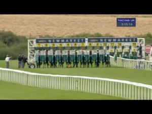 Video preview image for Newmarket 15:15 - newmarketracecourses.co.uk Handicap