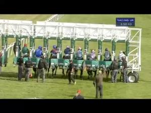 Video preview image for Newmarket 16:50 - Adnams Newmarket Nights Handicap