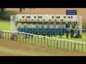 Video preview image for Beverley 17:10 - White Rose Saddlery Amateur Riders' Handicap (Div 1)