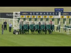 Video preview image for Newmarket 17:25 - Turftv Handicap