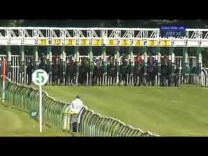Video preview image for Nottingham 14:00 - Breeders Backing Racing E.B.F. Maiden Stakes