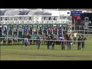 Video preview image for Nottingham 14:30 - Your Expert Guide To Nottingham nottinghamracecoursetips.co.uk Maiden Stakes