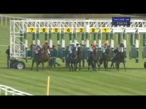 Video preview image for Newbury 14:50 - Christopher Smith Associates Claiming Stakes (Str)