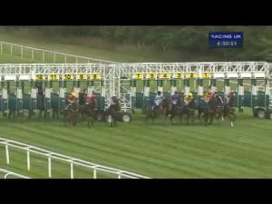Video preview image for Newbury 16:30 - Inspiration Inc Handicap