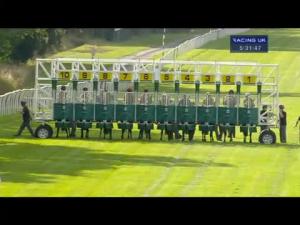 Video preview image for Newbury 17:30 - Robin J.W. Hall 60th Birthday Apprentice Handicap