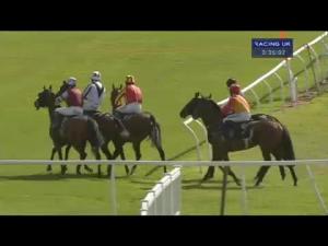 Video preview image for Perth 15:35 - Special Piping Materials (Scotland) Ltd Novices' Handicap Chase