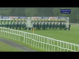 Video preview image for Newbury 15:50 - Betfred Mobile Sports Ladies Day Handicap (Str)