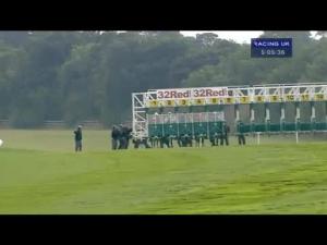 Video preview image for Newmarket 17:05 - Double O Seven Handicap